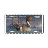 Official 2024 - 2025 Federal Duck Stamp - License Plate