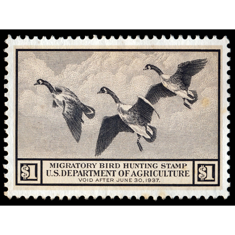 Official 1936 - 1937 Federal Duck Stamp-Metal Sign