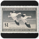 Official 1947-1948 Federal Duck Stamp - Cork Back Coaster