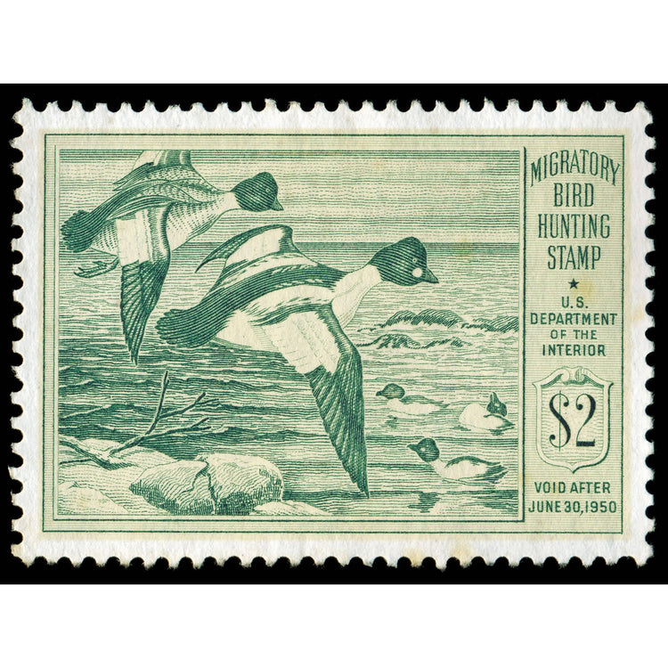 Official 1949 - 1950 Federal Duck Stamp-Metal Sign