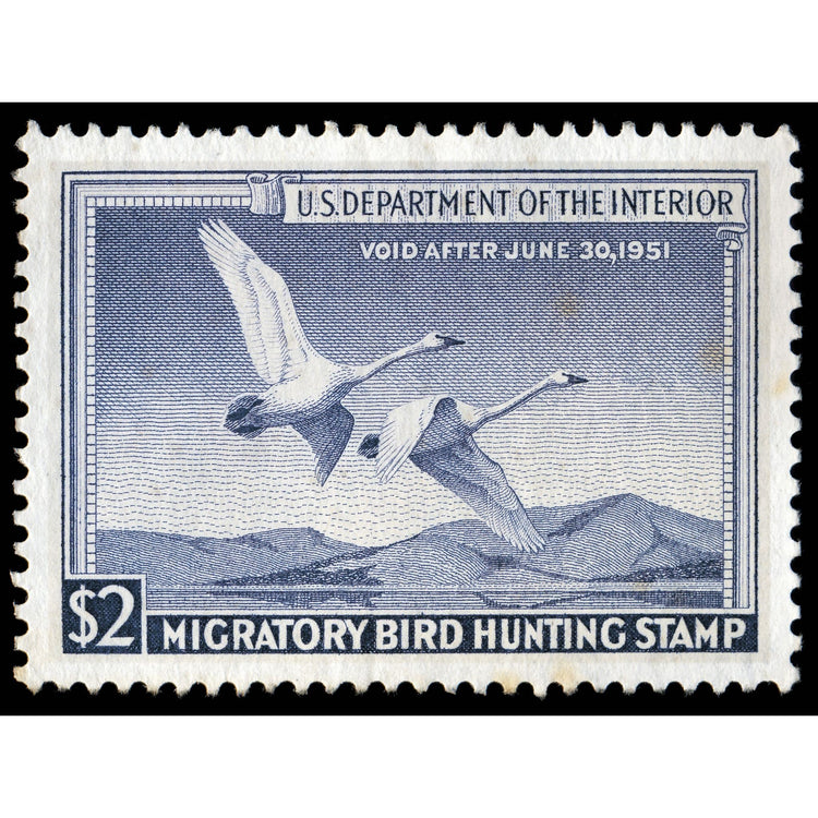 Official 1950 - 1951 Federal Duck Stamp-Metal Sign