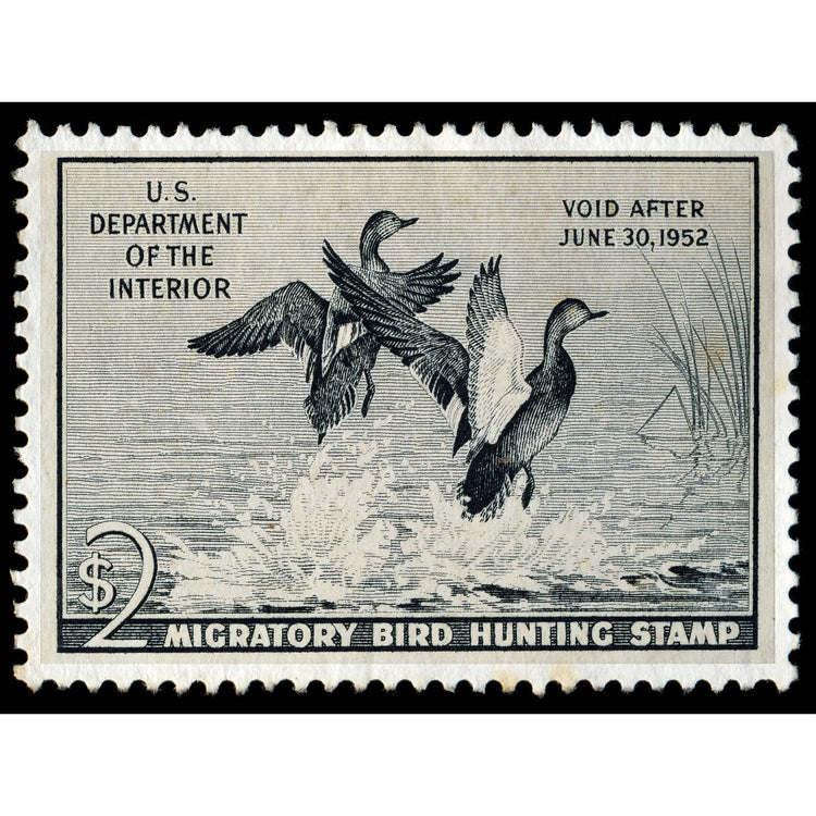 Official 1951 - 1952 Federal Duck Stamp-Metal Sign