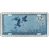 Official 1955-1956 Federal Duck Stamp - License Plate