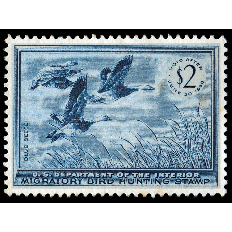 Official 1955 - 1956 Federal Duck Stamp-Metal Sign