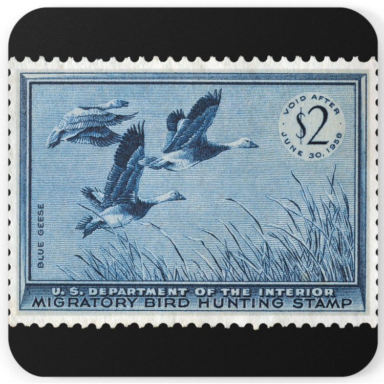Official 1955-1956 Federal Duck Stamp - Cork Back Coaster
