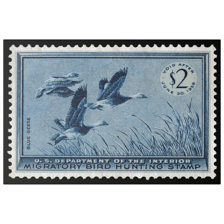 Official 1955 - 1956 Federal Duck Stamp - Canvas Sign