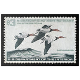 Official 1965 - 1966 Federal Duck Stamp - Canvas Sign