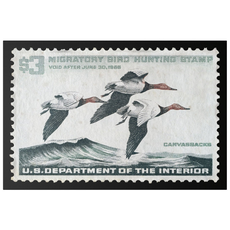 Official 1965 - 1966 Federal Duck Stamp - Canvas Sign