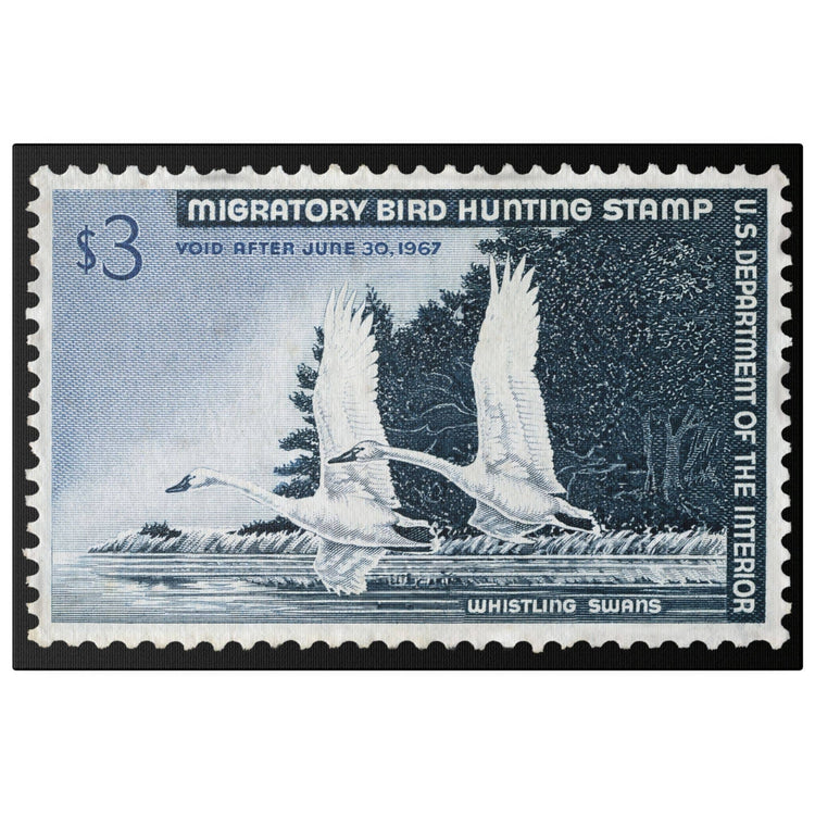 Official 1966 - 1967 Federal Duck Stamp - Canvas Sign