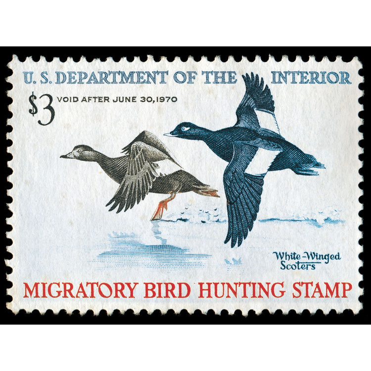 Official 1969 - 1970 Federal Duck Stamp - Metal Sign