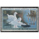 Official 1970 - 1971 Federal Duck Stamp - Canvas Sign