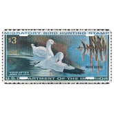 Official 1970 - 1971 Federal Duck Stamp - License Plate