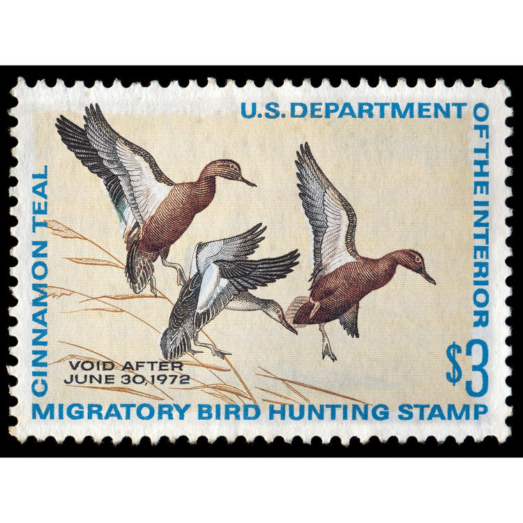Official 1971 - 1972 Federal Duck Stamp-Metal Sign
