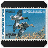 Official 1980-1981 Federal Duck Stamp - Cork Back Coaster