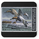 Official 1982-1983 Federal Duck Stamp - Cork Back Coaster