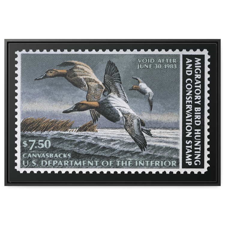 Official 1982 - 1983 Federal Duck Stamp - Canvas Sign