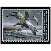 Official 1982 - 1983 Federal Duck Stamp-Metal Sign