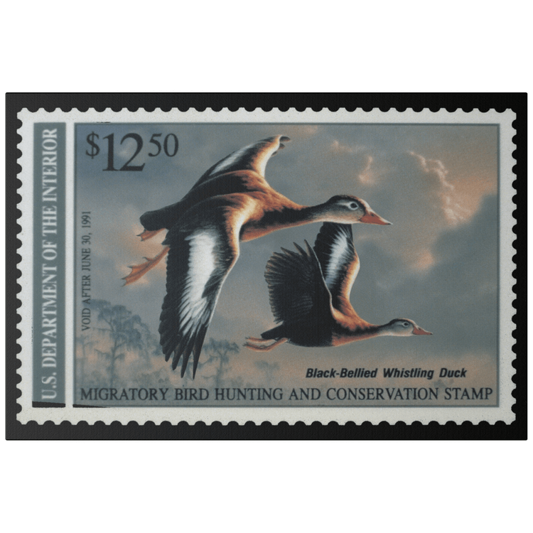 Official 1990 - 1991 Federal Duck Stamp - Canvas Sign