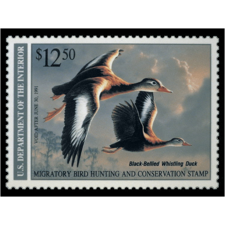 Official 1990 - 1991 Federal Duck Stamp - Metal Sign