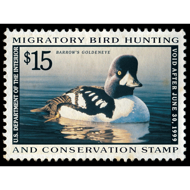 Official 1998 - 1999 Federal Duck Stamp-Metal Sign
