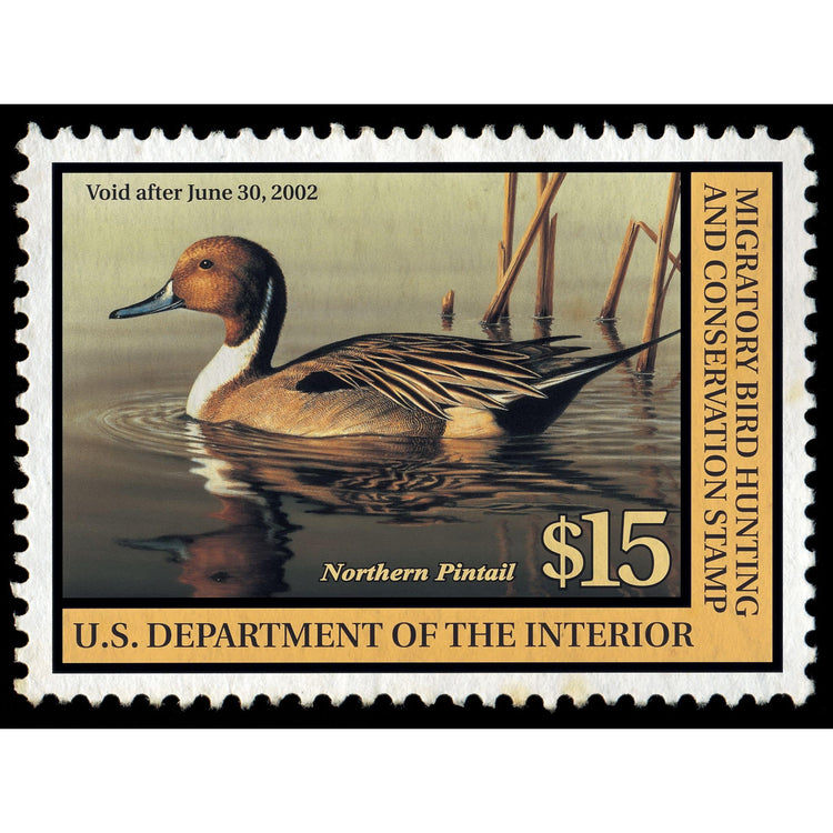 Official 2001 - 2002 Federal Duck Stamp-Metal Sign