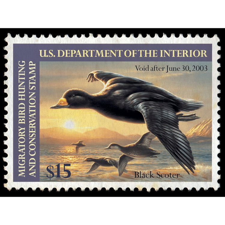 Official 2002 - 2003 Federal Duck Stamp-Metal Sign