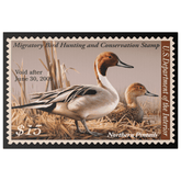 Official 2008 - 2009 Federal Duck Stamp - Canvas Sign