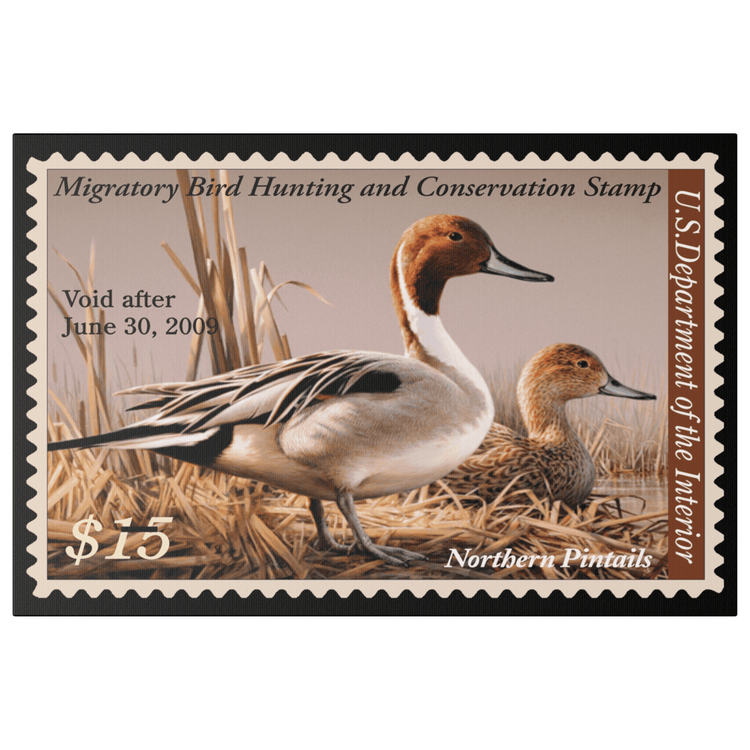 Official 2008 - 2009 Federal Duck Stamp - Canvas Sign