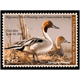 Official 2008 - 2009 Federal Duck Stamp - Metal Sign