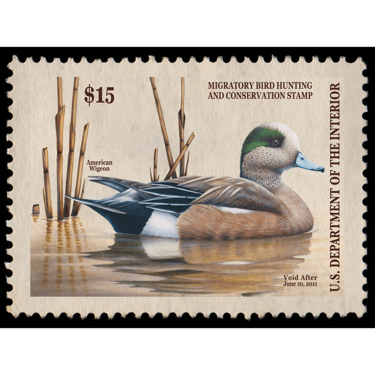 Official 2010 - 2011 Federal Duck Stamp-Metal Sign