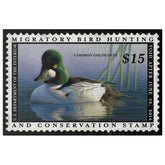 Official 2013 - 2014 Federal Duck Stamp - Canvas Sign