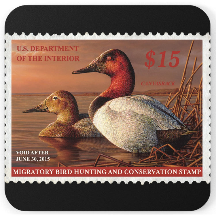 Official 2014-2015 Federal Duck Stamp - Cork Back Coaster