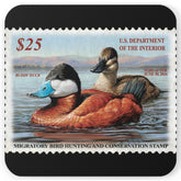 Official 2015-2016 Federal Duck Stamp - Cork Back Coaster