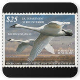Official 2016-2017 Federal Duck Stamp - Cork Back Coaster