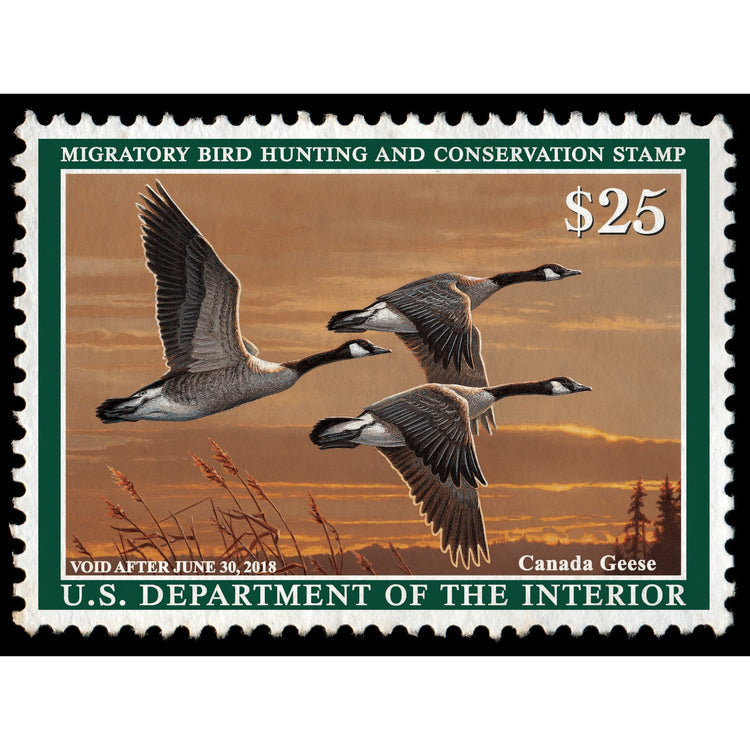 Official 2017 - 2018 Federal Duck Stamp-Metal Sign