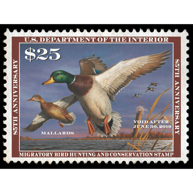 Official 2018 - 2019 Federal Duck Stamp-Metal Sign
