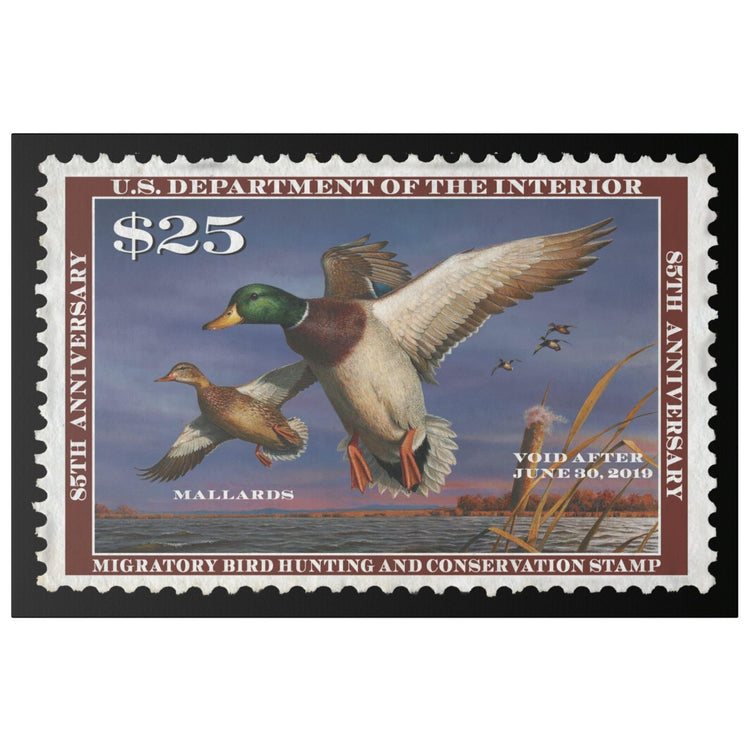 Official 2018 - 2019 Federal Duck Stamp - Canvas Sign