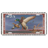Official 2018 - 2019 Federal Duck Stamp - License Plate