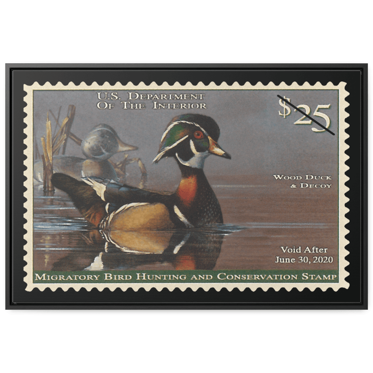 Official 2019 - 2020 Federal Duck Stamp - Canvas Sign
