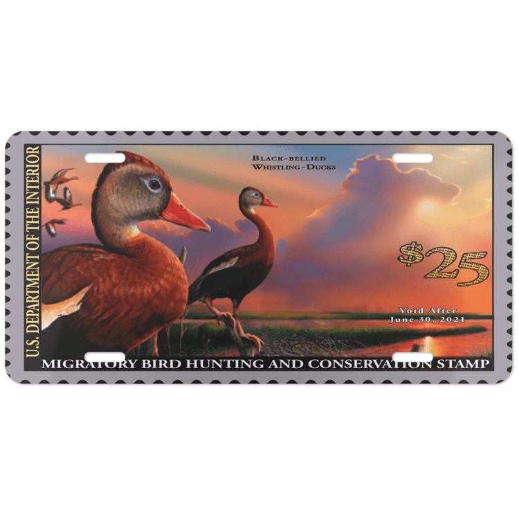Official 2020 - 2021 Federal Duck Stamp - License Plate