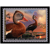 Official 2020 - 2021 Federal Duck Stamp - Metal Sign