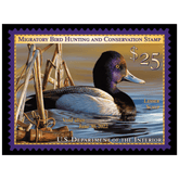 Official 2021 - 2022 Federal Duck Stamp-Metal Sign