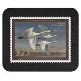 Official 2023-2024 Federal Duck Stamp - Mouse Pad