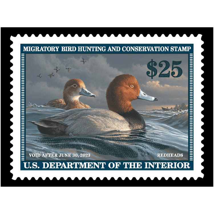 Official 2022 - 2023 Federal Duck Stamp-Metal Sign