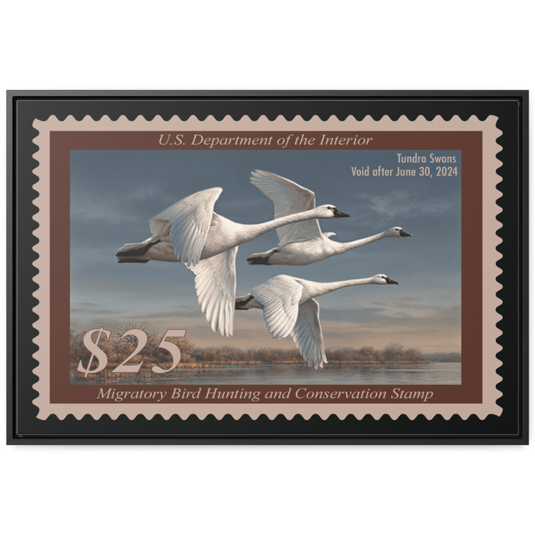Official 2023 - 2024 Federal Duck Stamp - Canvas Sign