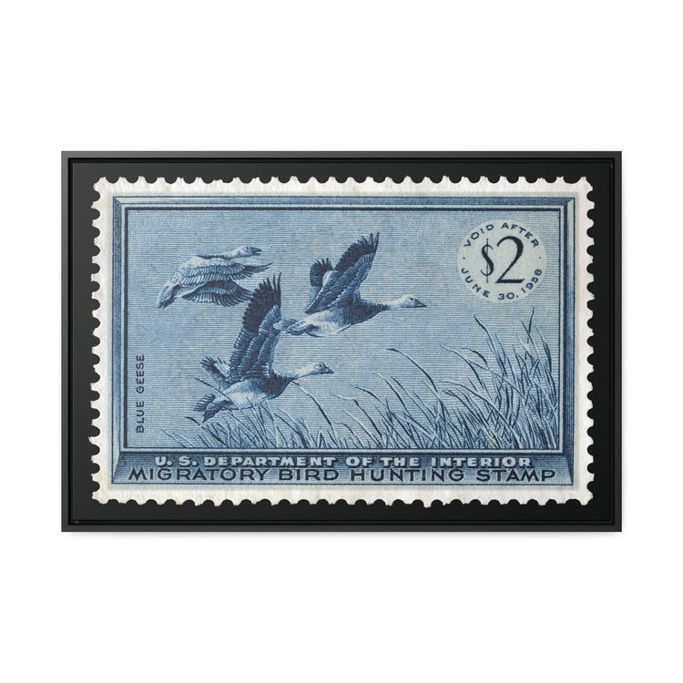 Official 1955 - 1956 Federal Duck Stamp - Canvas Sign