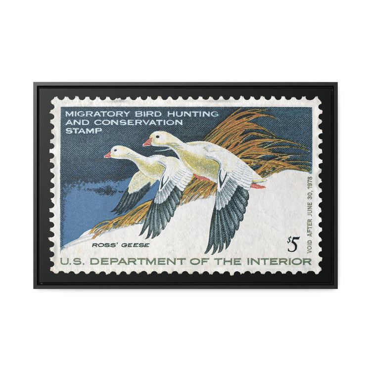 Official 1977 - 1978 Federal Duck Stamp - Canvas Sign