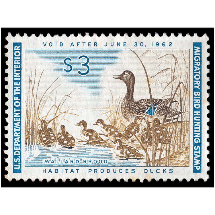 Official 1961 - 1962 Federal Duck Stamp - Metal Sign