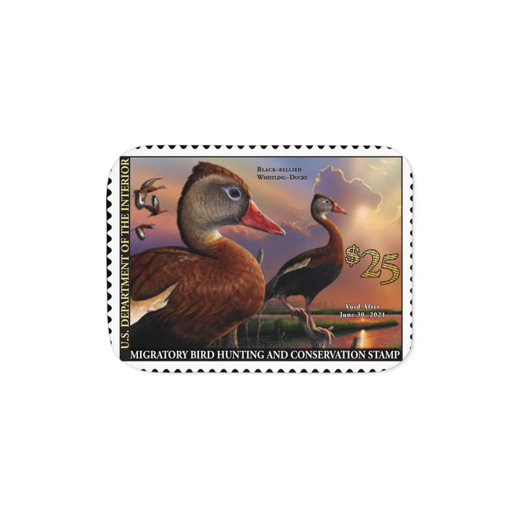 Official 2020-2021 Federal Duck Stamp - Sherpa Blanket