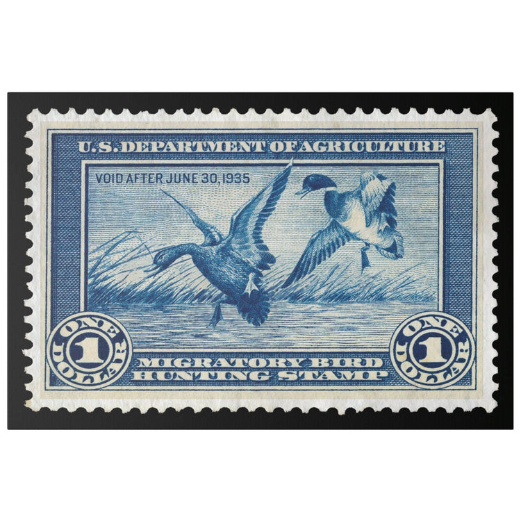 Official 1934 - 1935 Federal Duck Stamp - Canvas Sign